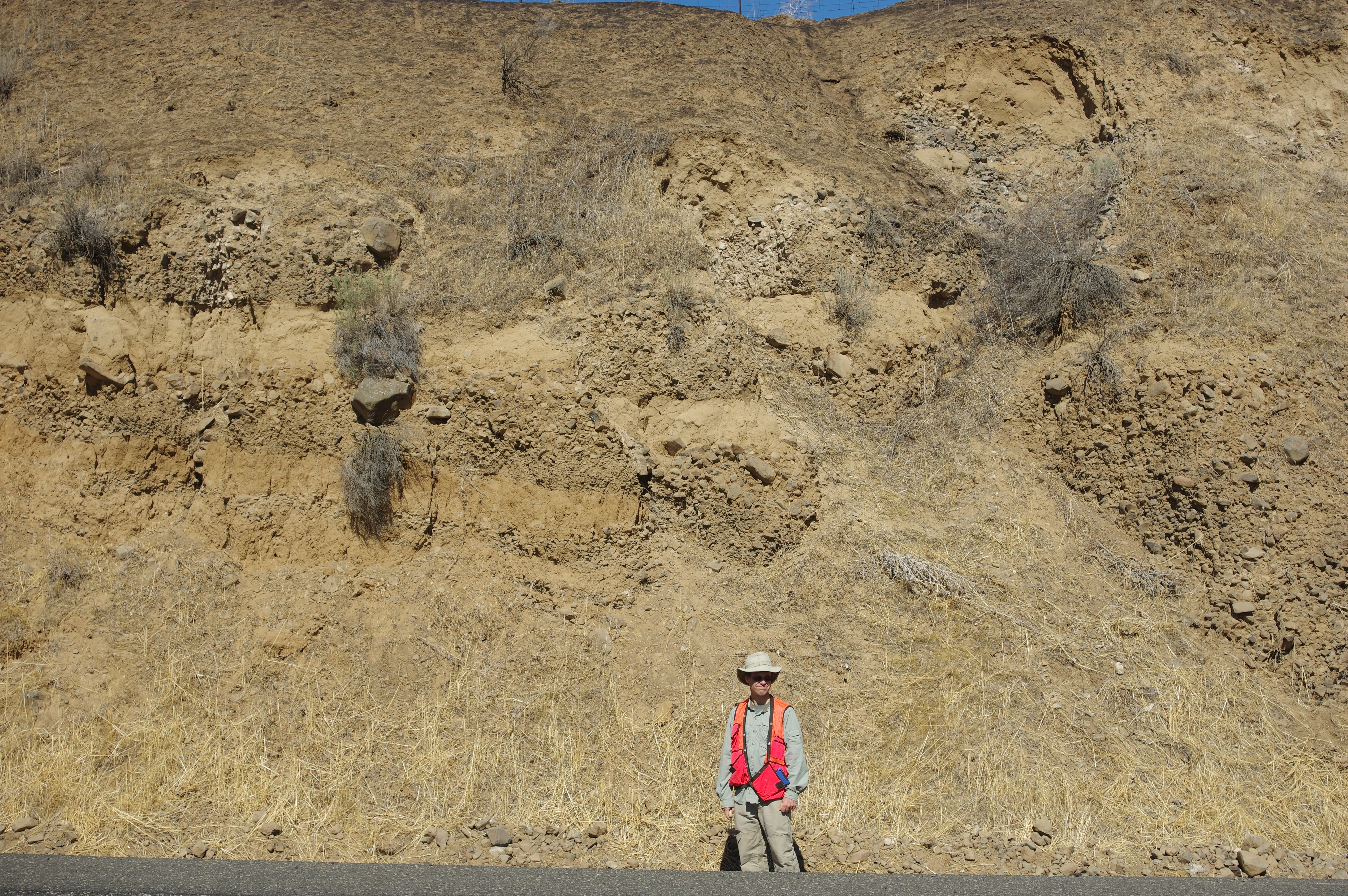 USGS scientist, Charlie Cannon standing in front of a faulted loess sequence